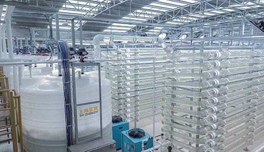 光反應(yīng)器培藻設(shè)備