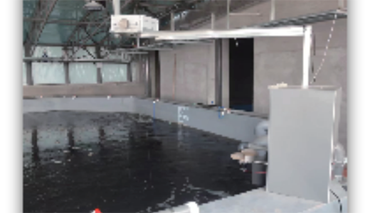 自動(dòng)料臺(tái)及自動(dòng)投喂系統(tǒng)