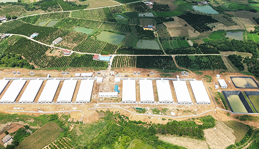 湖北當(dāng)陽宇宙15400育肥場(chǎng)