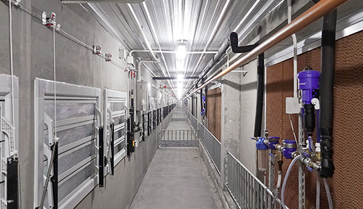 山東東營6000種豬場