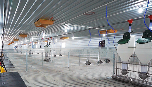 湛江北坡三合14000育肥五場