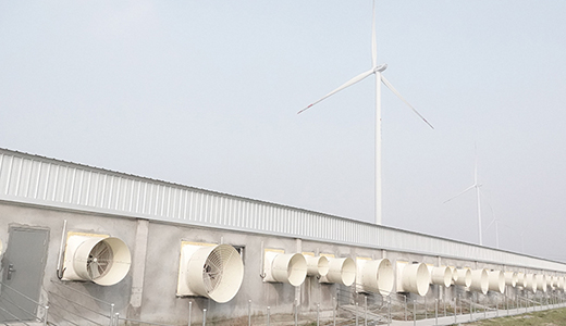 河南民權(quán)畢集6000種豬場