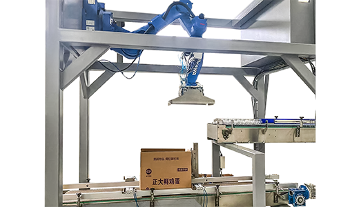 雞蛋自動(dòng)裝箱