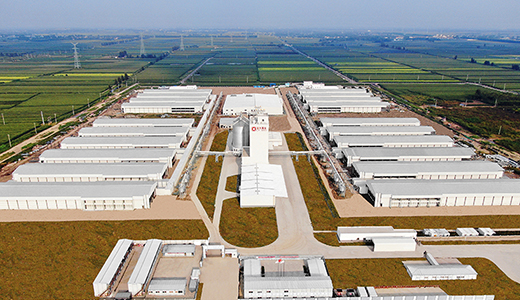 山東濰坊現(xiàn)代食品（360萬蛋雞）全產(chǎn)業(yè)鏈