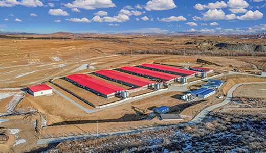 豬場裝備與工程